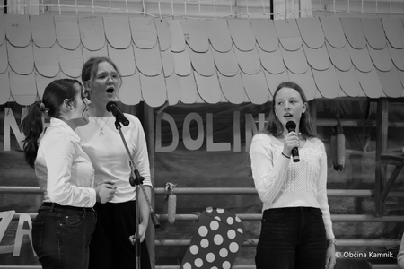 Ko v naši dolini zadiši  (17)